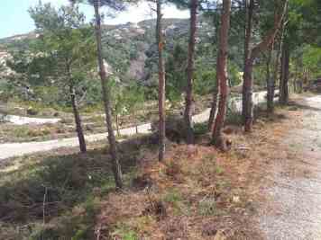 IMG-8f767987a3d2635ae8775d5367e5c0ee-V