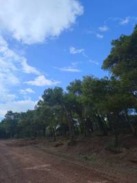 IMG20231129130439