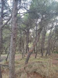 IMG20231129132558