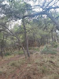 IMG20231129132601