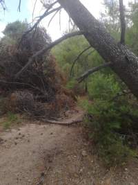 εικόνα_Viber_2022-07-13_15-33-28-892