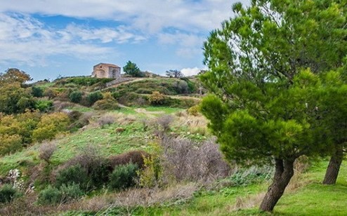 Δασωθέντες αγροί. Καμπανάκι για χιλιάδες ιδιοκτήτες. Κίνδυνος να χαθούν εκατομμύρια στρέμματα σε όλη την Ελλάδα.