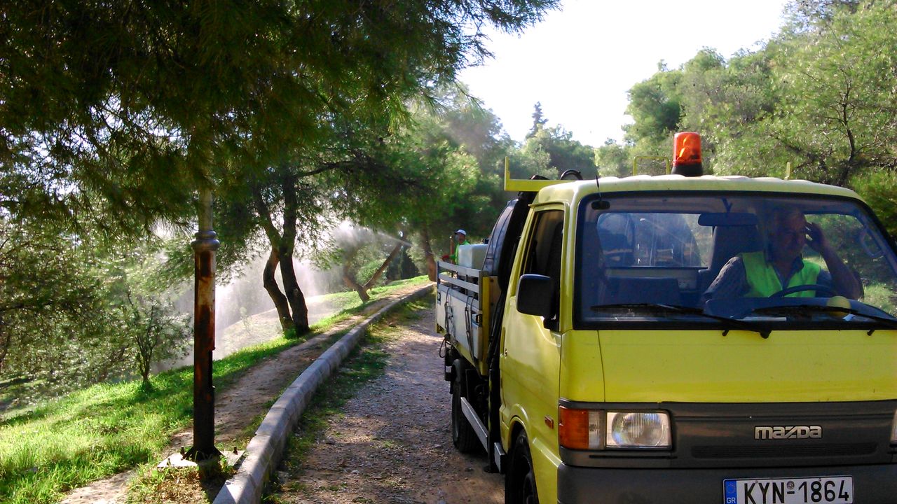 Καταπολέμηση λεπιδόπτερου εντόμου πευκοδάσους