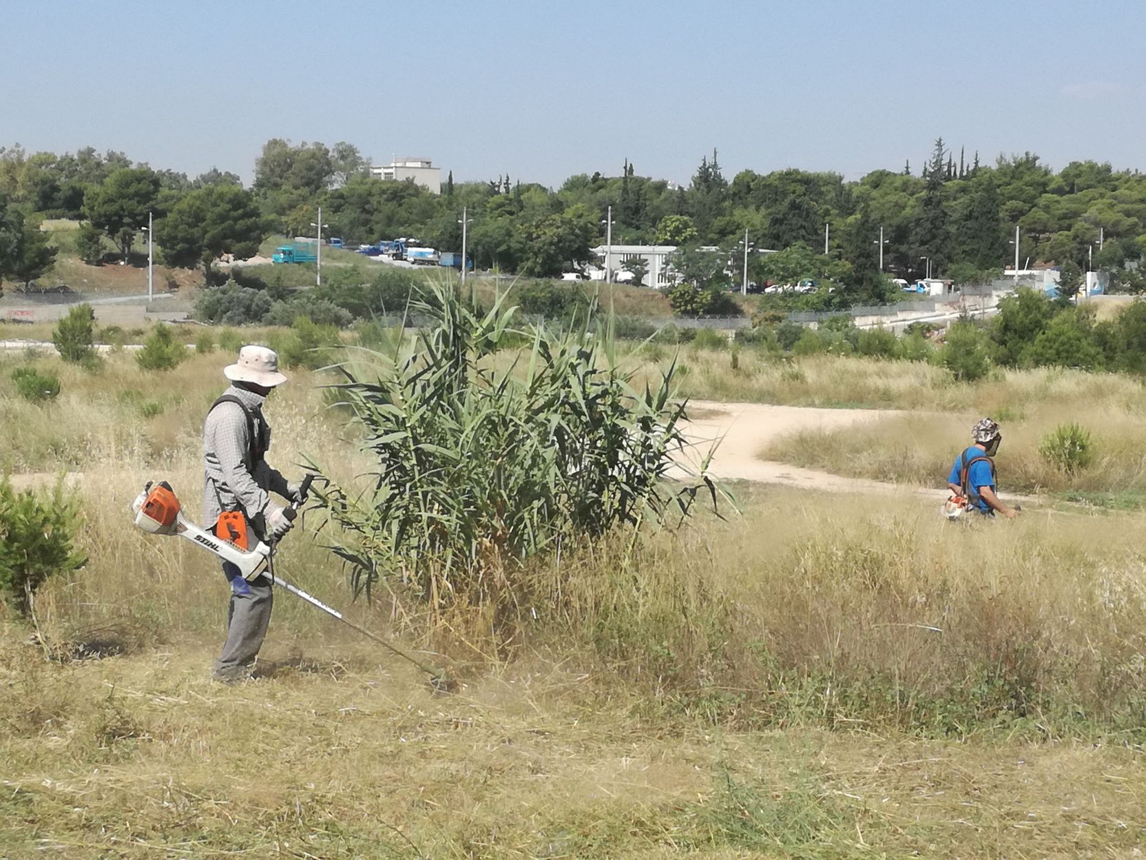 Εργασίες αποψίλωσης και καθαρισμού, προς αποφυγή πυρκαγιών