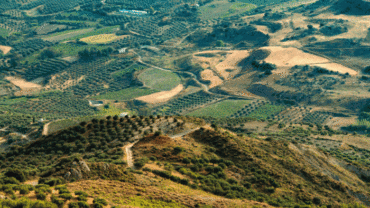 Δασικοί χάρτες, εκχερσωμένες εκτάσεις & ΟΠΕΚΕΠΕ: Πως θα λυθεί το ζήτημα που αφορά χιλιάδες αγρότες;