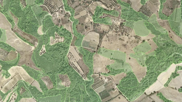 Γ.Γ. Δασών: εγκύκλιος για να ξεμπλοκάρουν εκτάσεις που κερδίζουν τις αντιρρήσεις