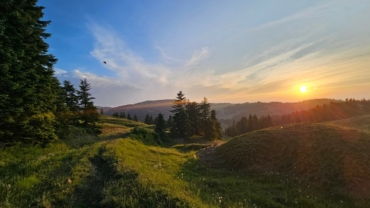 Συμμετοχή της εταιρείας ilVerde σε ερευνητικό έργο
